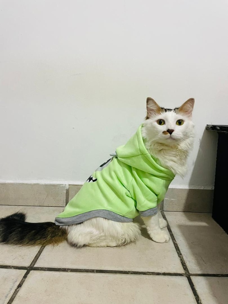 Sueter Mike Wazowski