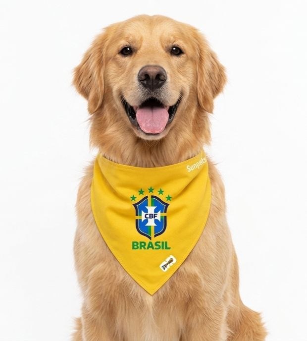 Bandana Brasil