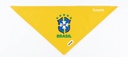 Bandana Brasil