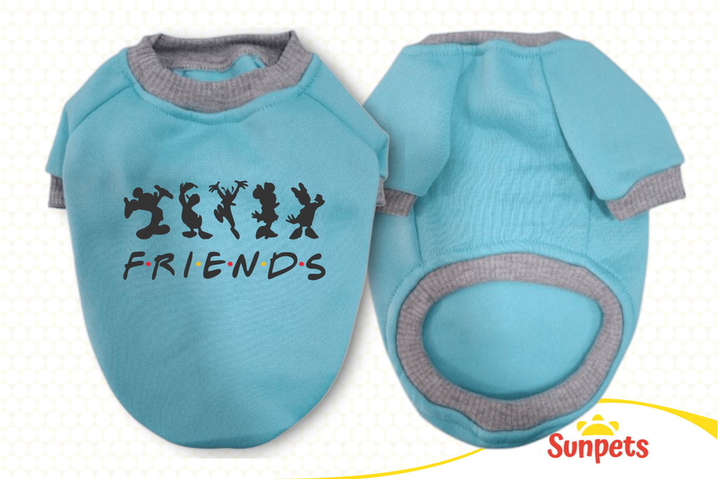 Hoodie Friends