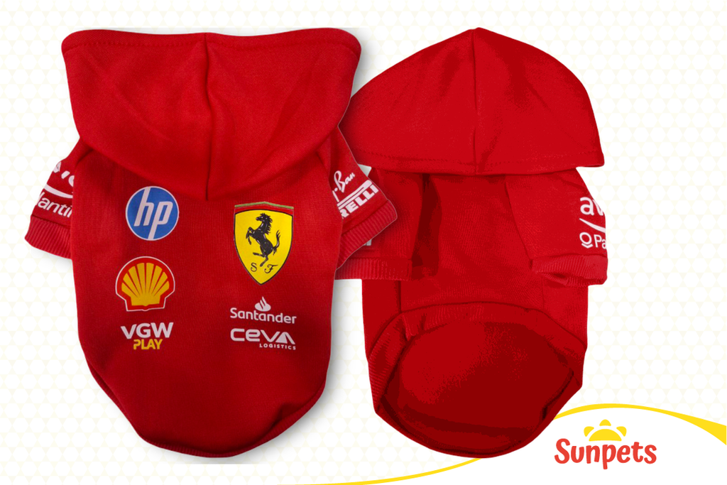 Sueter Ferrari
