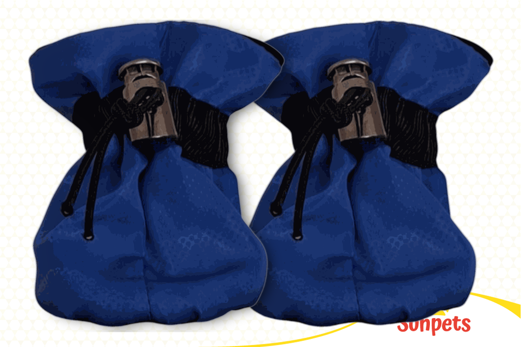 Zapatos Azules
