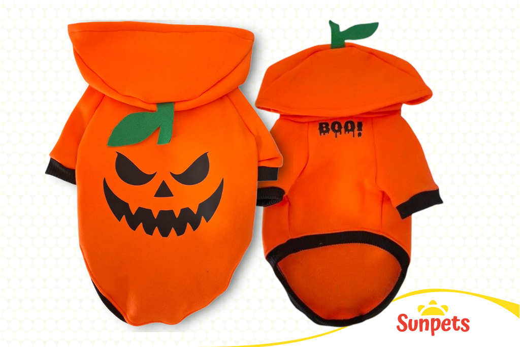 Sueter Calabaza